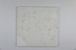 Symra Shell Tumbled Limestone Coping Floor Tile -12x12" 1.25 