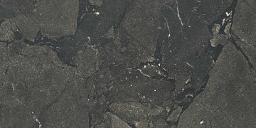 Timeless Italian Graphite Polished Floor And Wall Tile   12
