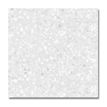 Stardust 24”x24” Silver Glazed Porcelain Indoor and Outdoor Tile