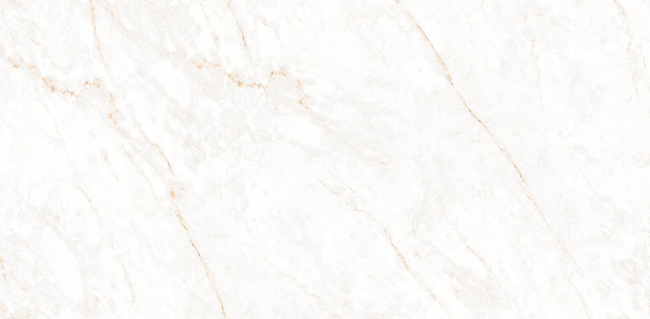 Calacatta Glam Polished Wall and Floor Tile 24"x48" 