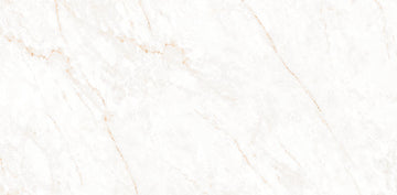 Calacatta Glam Polished Wall and Floor Tile 24