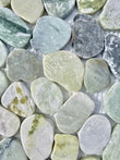 Green Flat Jade Pebble Mosaic 12" x 12"