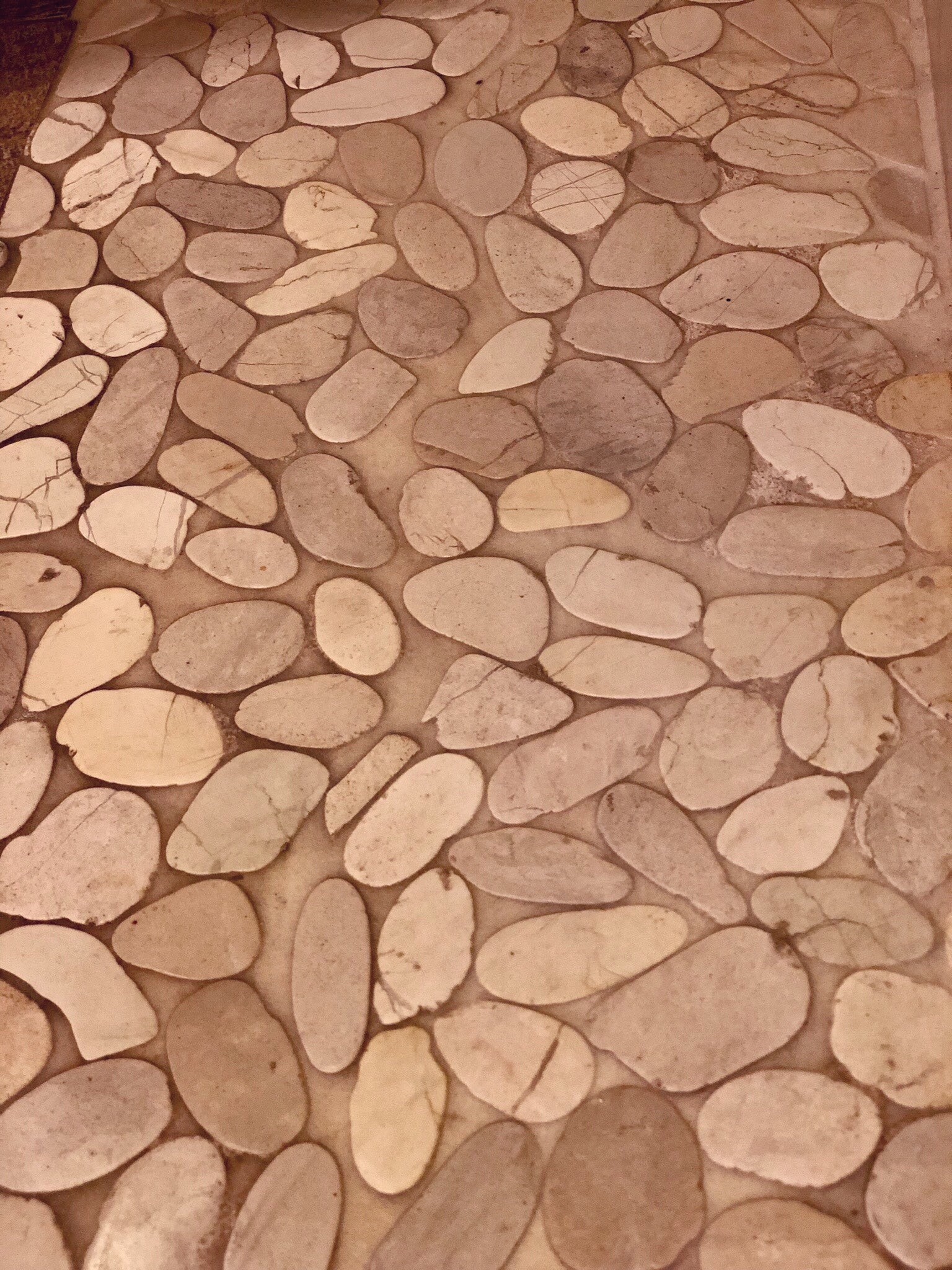 Tan Flat Pebble Mosaic 12" x 12"