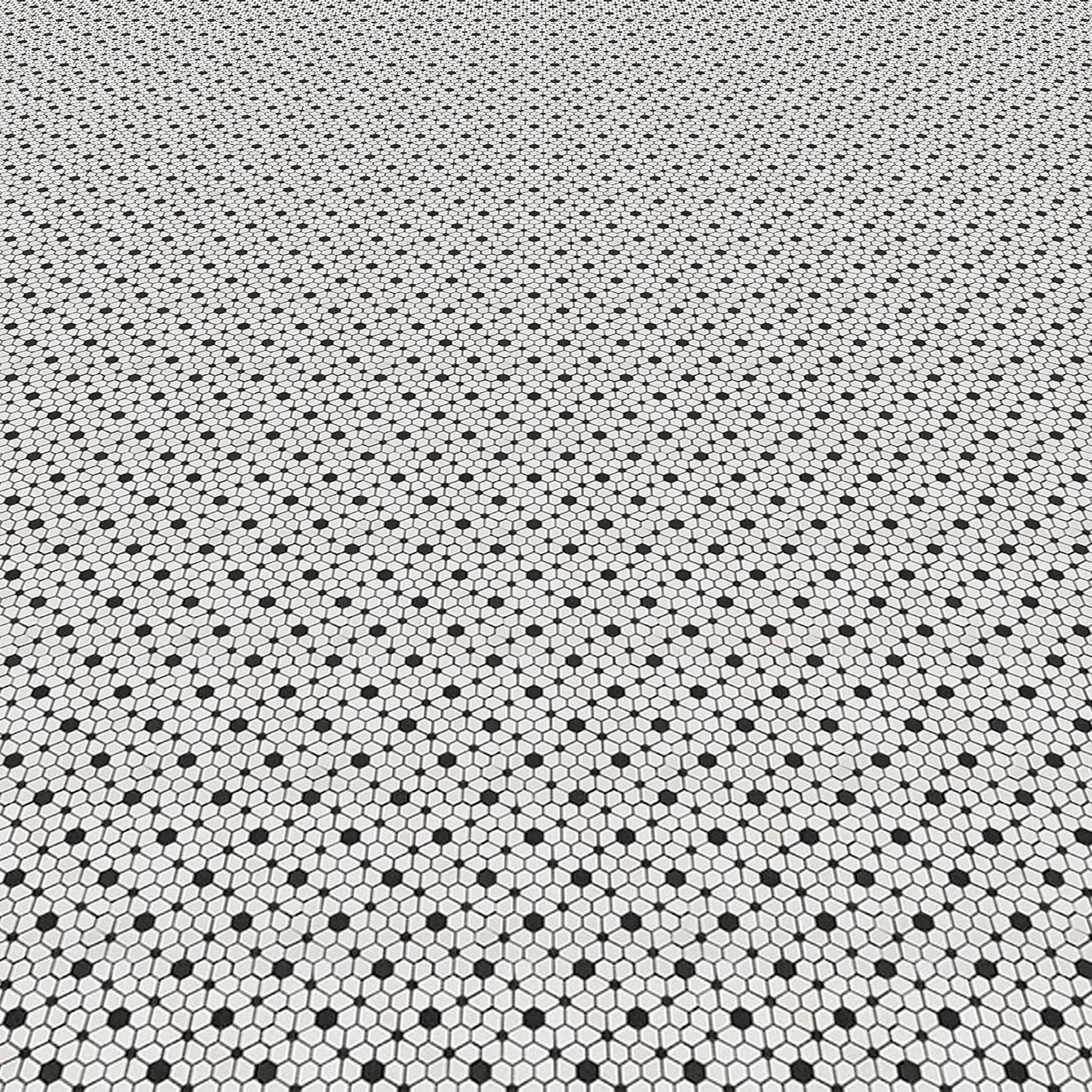 White Galaxy Thassos Black Marble  - Polished Floor & Wall Mosaic