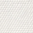 White Glossy Penny Round Mosaic Wall Tile