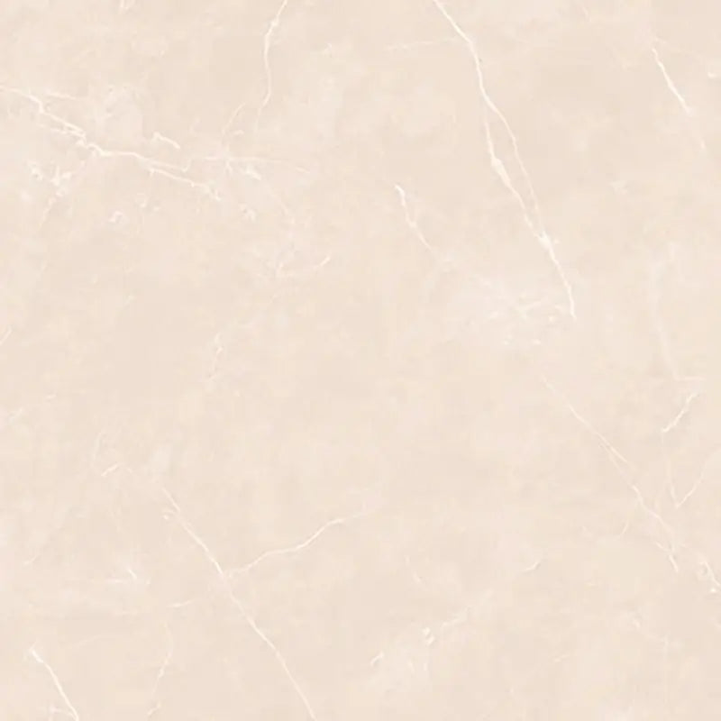 Puccini Marfil 24x24 Wall And Floor Tile - Polished
