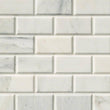 Arabescato Carrara 2x4 Honed and Beveled Subway Tile