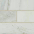 Arabescato Carrara Marble Wall and Floor Tile