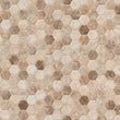 Sandhills Hexagon Wall - Backsplash Mosaic Tile