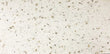 Terrazzo Gold Polished Wall and Floor Tile 12”x24”