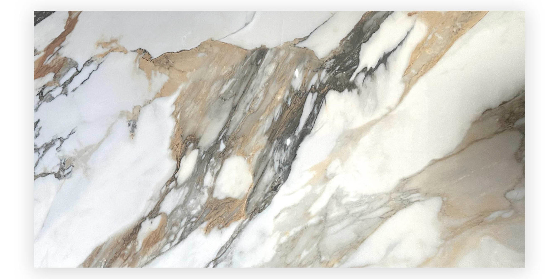 Ventura 24”x48” Porcelain Wall and Floor Tile