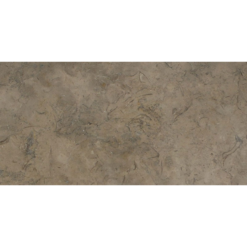 Fossil Brown Limestone Tile 18" X 18" 1/2 Leathered Tile