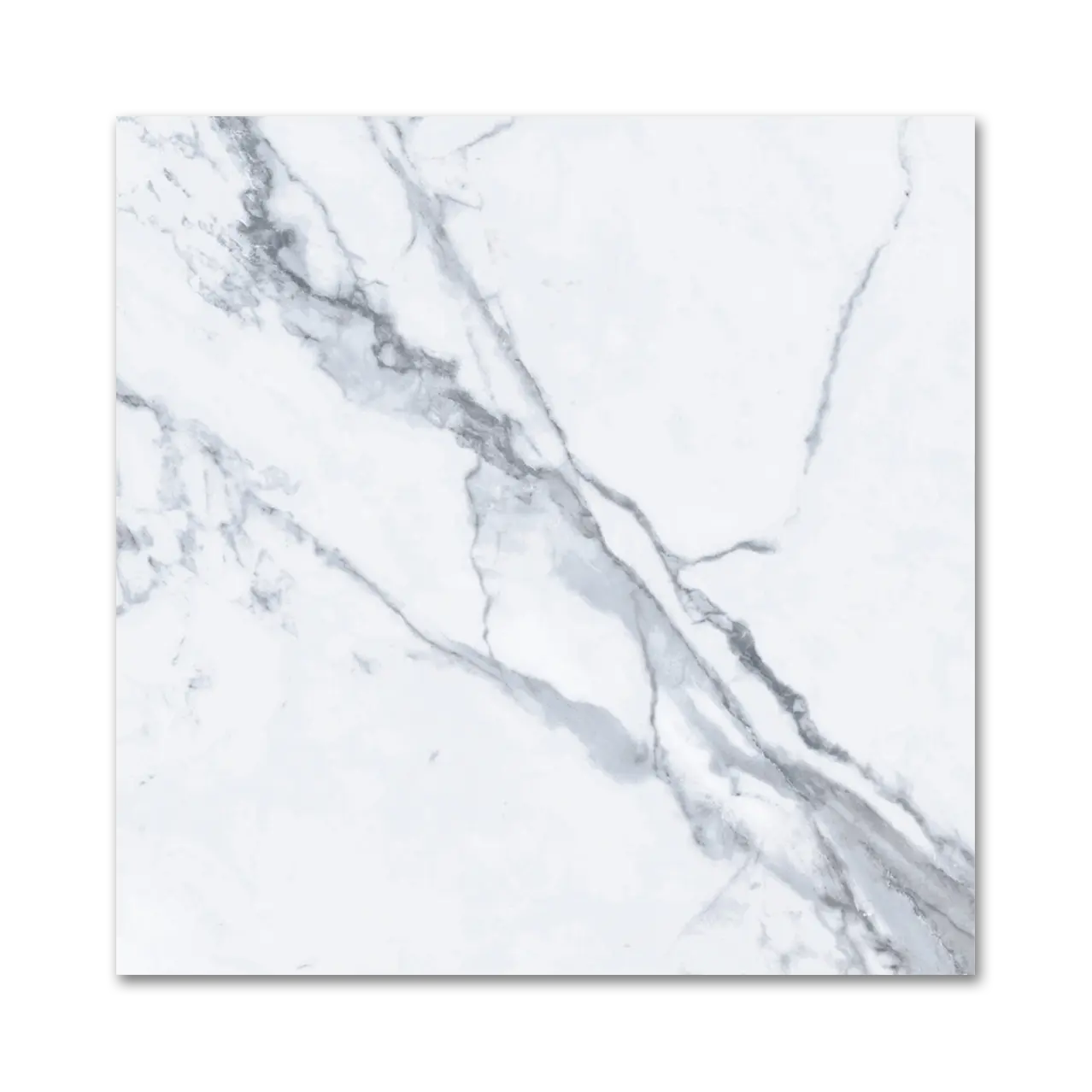 Bianco Venatino Porcelain Wall and Floor Tile 24”x24” Glazed