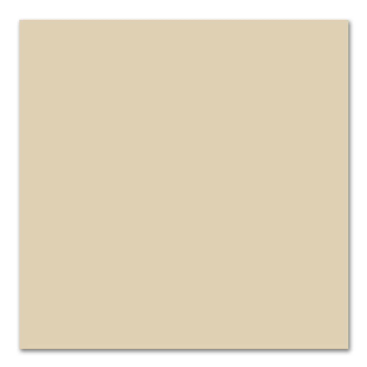 Color Collection Fawn Ceramic Wall Tile 6”x6” Glazed