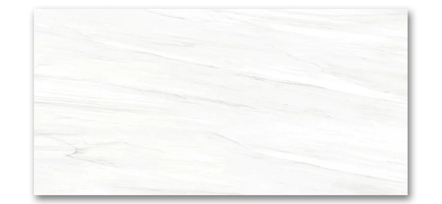 Lassa White Porcelain Wall Tile Matte 24”x48” picture