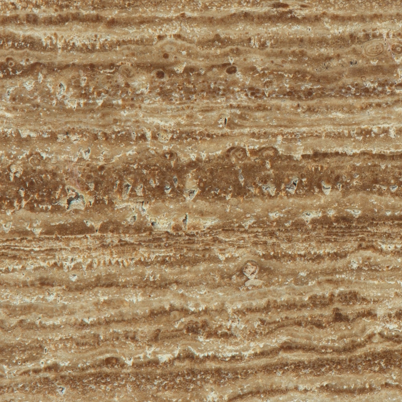 Noce Exotic Travertine Polished Wall and Floor Tile 12x12"
