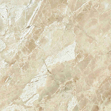 Queen Beige Polished Wall and Floor Tile 12x12"