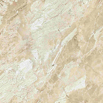 Queen Beige Polished Wall and Floor Tile 18x18"