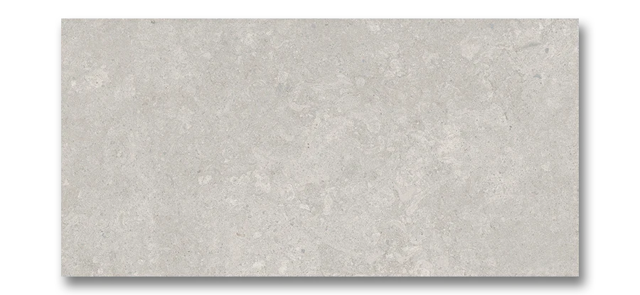 Savoy Glazed Porcelain Wall and Floor Tile Fiorito 12”x24” Grey