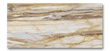 Slab 40”x80” Porcelain Wall and Floor Tile Glazed Fossil
