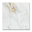 Slab Porcelain Wall and Floor Tile Glazed 48”x48” Marble Parana